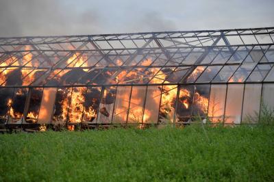 Strohlager in altem Gewaechshaus in Vollbrand in Waiblingen-Beinstein - War es Brandstiftung?